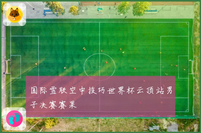 国际雪联空中技巧世界杯云顶站男子决赛赛果
